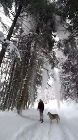 Nesne��? Nevad�