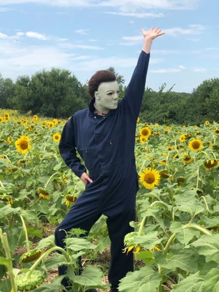 V�kendovky  