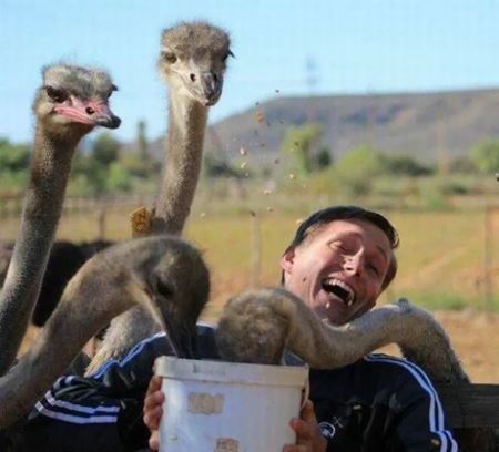 V�kendovky  