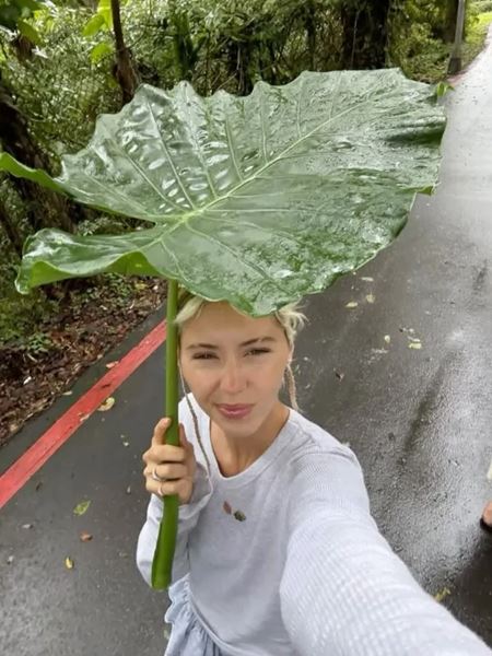 V�kendovky  
