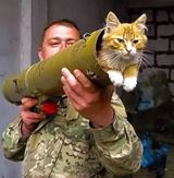 V�kendovky