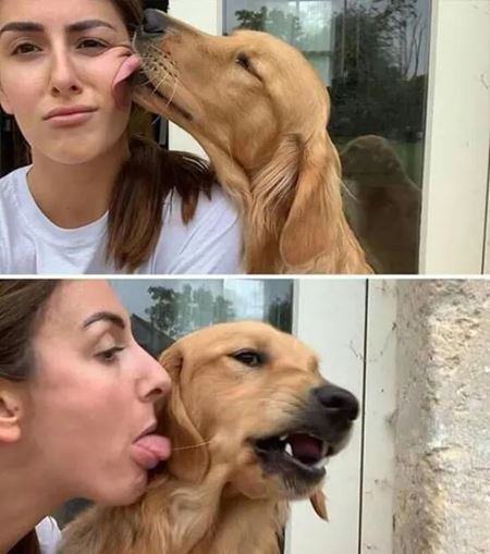 V�kendovky  