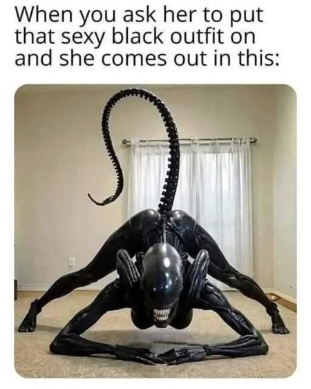 V�kendovky  