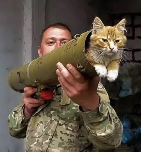 V�kendovky  