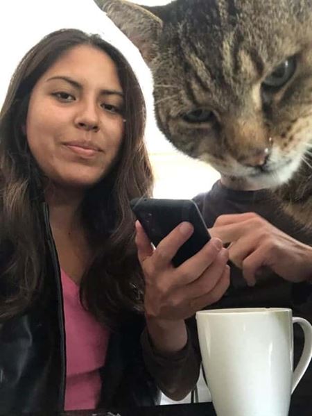 Ke� v�m zviera vlezie do z�beru  