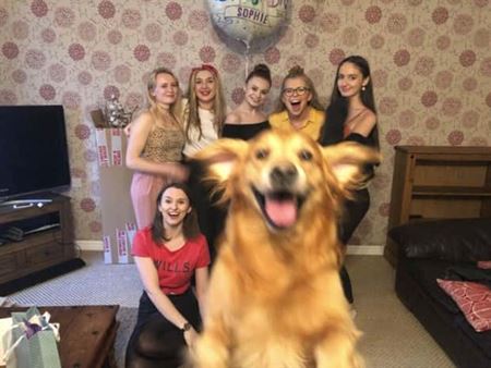 Ke� v�m zviera vlezie do z�beru  