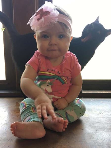 Ke� v�m zviera vlezie do z�beru  