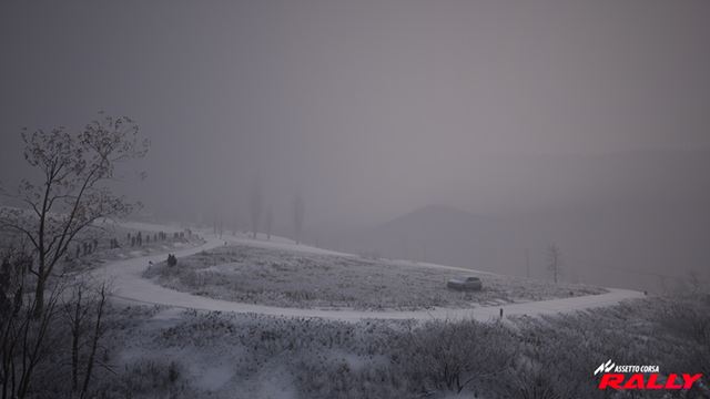 Assetto Corsa Rally prid�va Monte Carlo a dve rally aut� v 0.3 update 