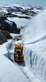 Niekedy sa zd�, �e cest�ri u n�s robia toto