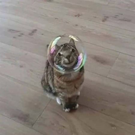 Znovu tie zvierat�  