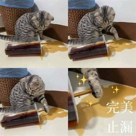 Znovu tie zvierat�  