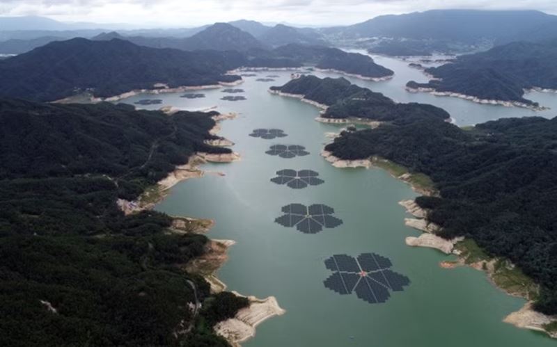 V Južnej Kórei plávajú na priehrade obrovské kvety - ide o solárnu elektráreň