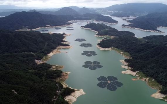 V Južnej Kórei plávajú na priehrade obrovské kvety - ide o solárnu elektráreň