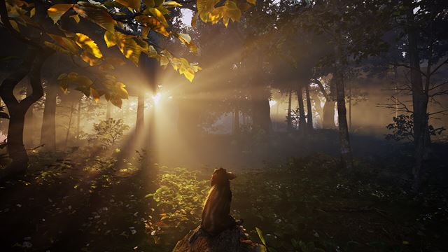 Adorable Adventures bude pr�beh roztomil�ho divia�ika, u� sa bl�i 