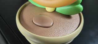 Pre koho a na�o vlastne je Talking Flower od Nintenda? 