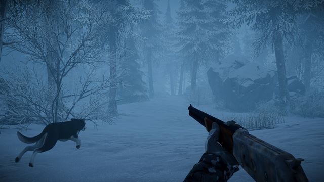 The Pale Mimic bude v lese �eli� hladu a nezn�memu tvorovi 