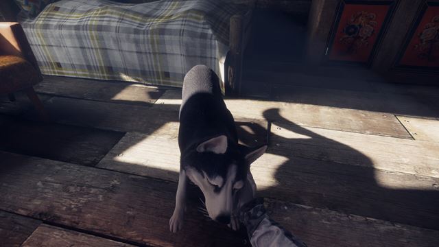 The Pale Mimic bude v lese �eli� hladu a nezn�memu tvorovi 