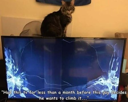 Nehody sa st�vaj�  