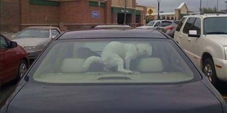 Nehody sa st�vaj�  