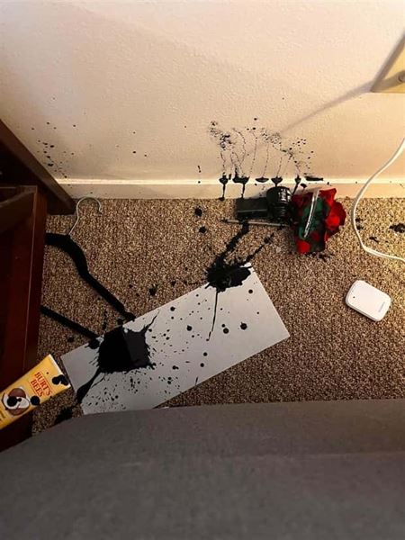 Nehody sa st�vaj�  