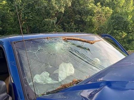 Nehody sa st�vaj�  