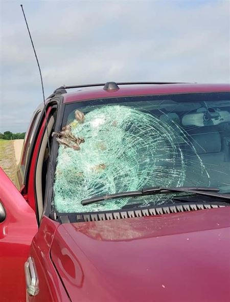 Nehody sa st�vaj�  