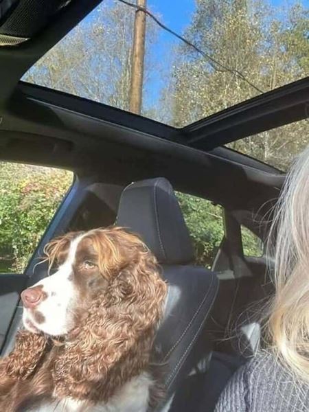 Z�bavn� zvieratk�  