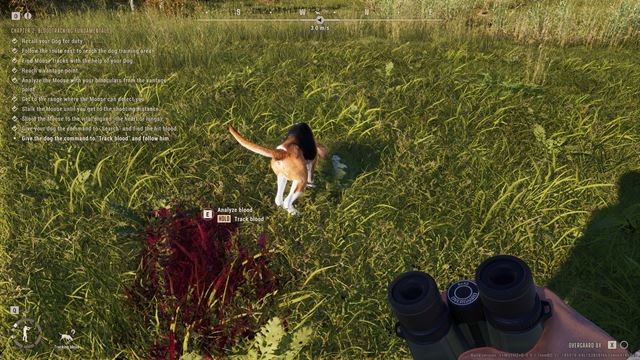 Ak� je early access Way of the Hunter 2? 