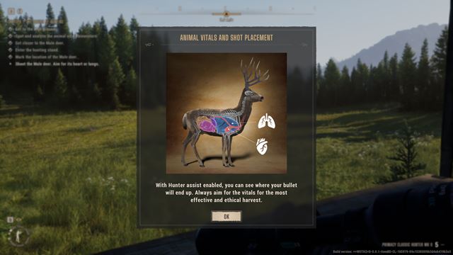 Ak� je early access Way of the Hunter 2? 