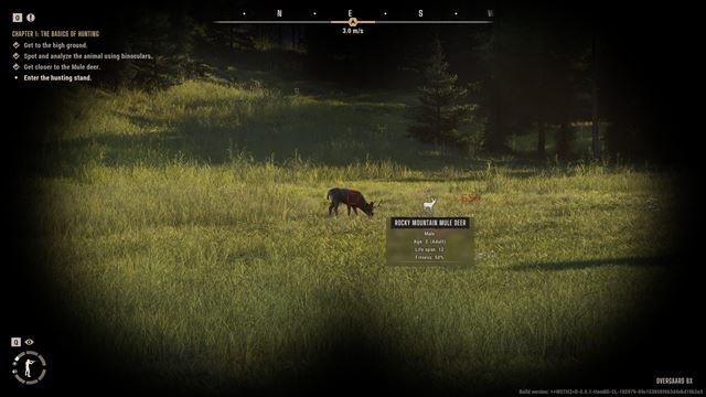 Ak� je early access Way of the Hunter 2? 