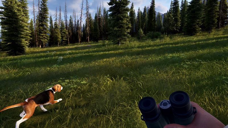 Ak� je early access Way of the Hunter 2?