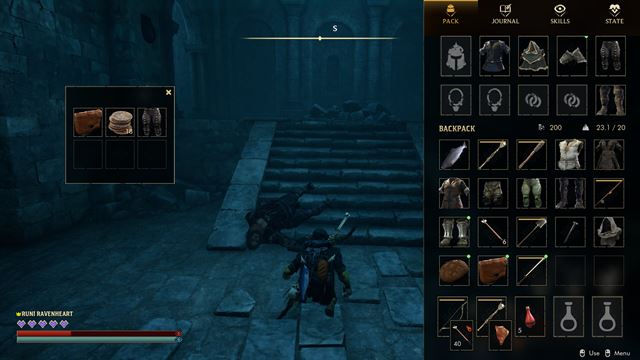 Wyldheart bude RPG s kooper�ciou a dynamick�mi zmenami dru�iny 