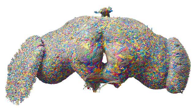 Sme bližšie k presunutiu mozgu do počítača? Vedci spravili mapu mozgu muchy a pripojili ju na simuláciu 