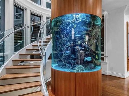 Podivn� akv�ri�  