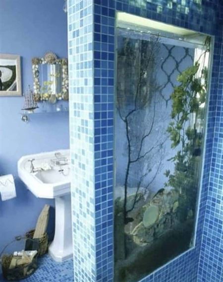 Podivn� akv�ri�  