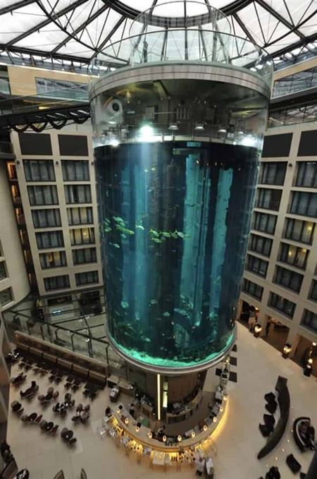 Podivn� akv�ri�  