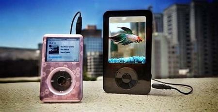 Podivn� akv�ri�  