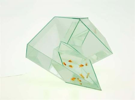 Podivn� akv�ri�  