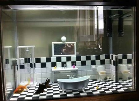 Podivn� akv�ri�  