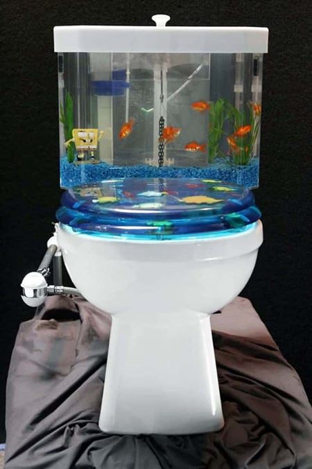 Podivn� akv�ri�  