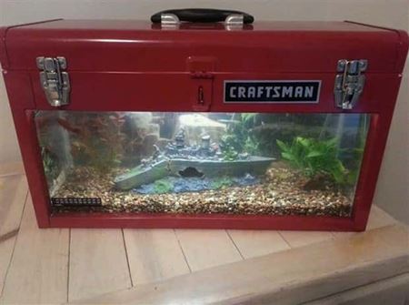 Podivn� akv�ri�  