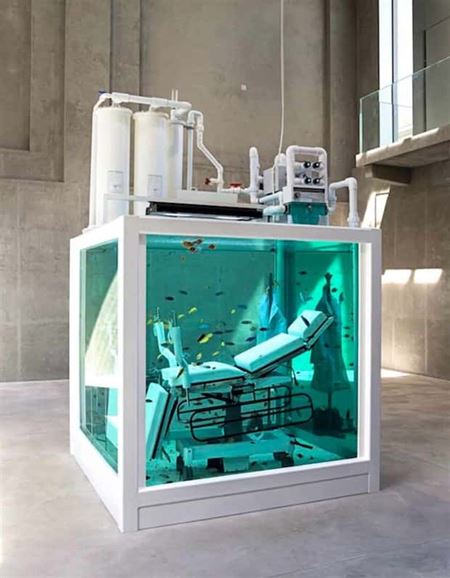 Podivn� akv�ri�  