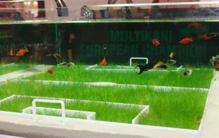 Podivn� akv�ri�  