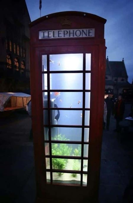 Podivn� akv�ri�  