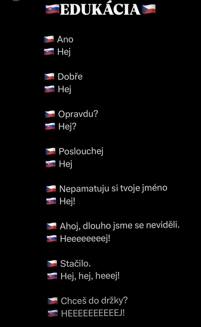 Sloven�ina v skratke