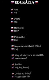 Sloven�ina v skratke