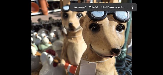 Zauj�mav� Samsung Galaxy S26 foto funkcie, ktor� sa oplat� vysk��a� 