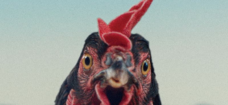 Provokat�r Gy�rgy P�lfi prich�dza do k�n s �iernou kom�diou Sliepka