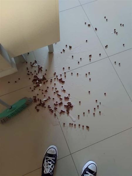 Nehody sa st�vaj�  