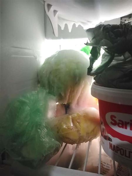 Nehody sa st�vaj�  